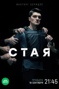 Стая русский сериал